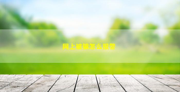 网上被骗怎么报警